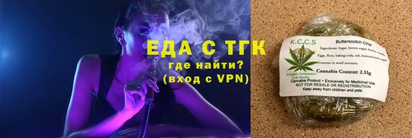 индика Абинск