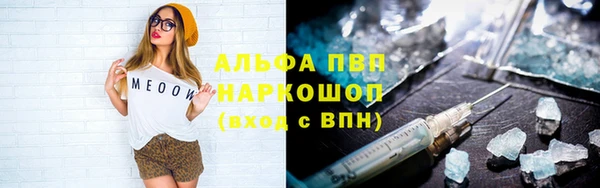 индика Абинск