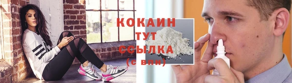 индика Абинск