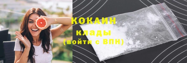 индика Абинск