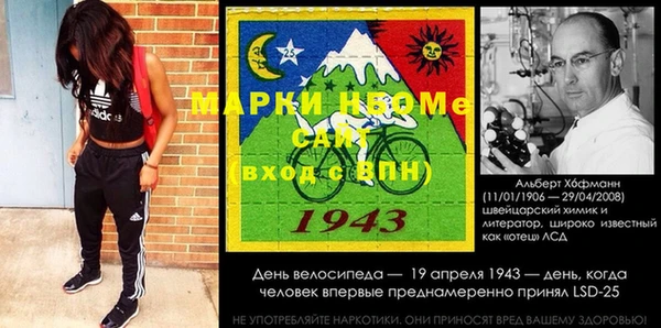 индика Абинск