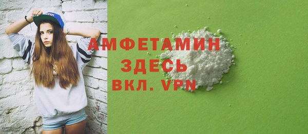 индика Абинск