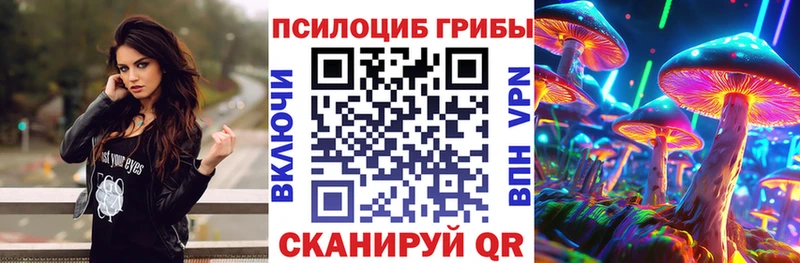 Галлюциногенные грибы Psilocybine cubensis  blacksprut ССЫЛКА  Скопин 