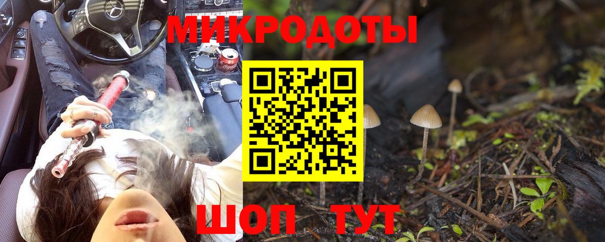 Псилоцибиновые грибы прущие грибы Скопин